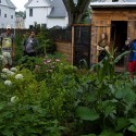 Permaculture et agriculture